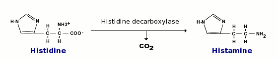 histamine